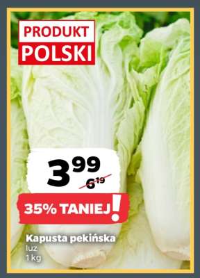 Kapusta pekińska