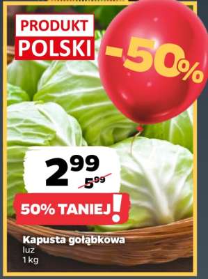 Kapusta gołąbkowa