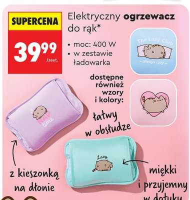 Elektryczny ogrzewacz do rąk