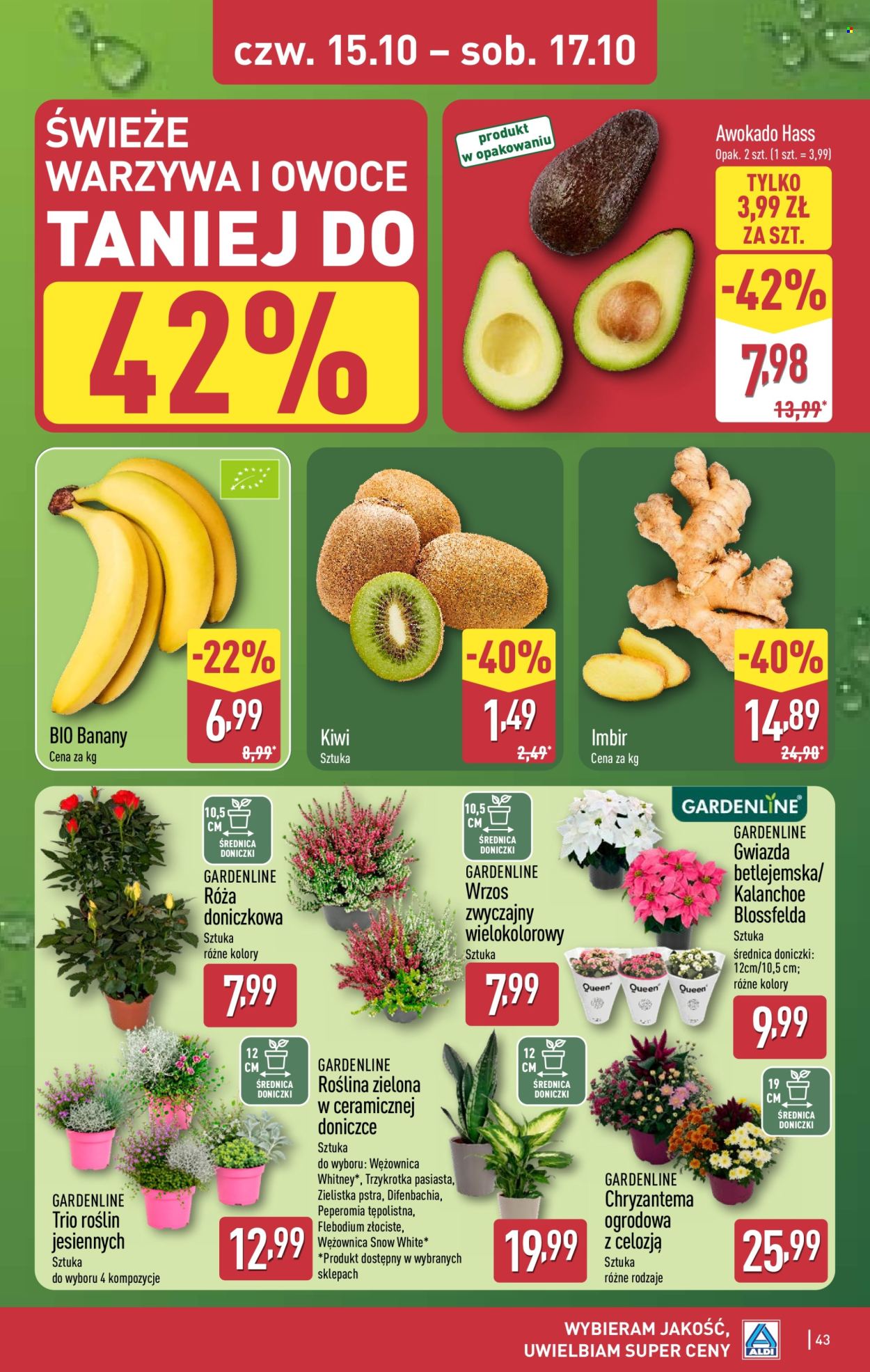 Gazetka ALDI - 12.10.2026. - 17.10.2026.. Strona 43