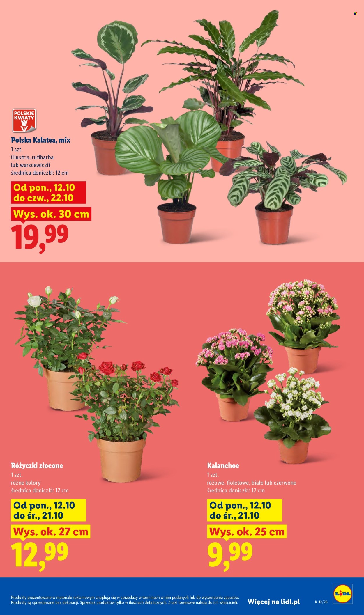 Gazetka Lidl - 12.10.2026. - 17.10.2026.. Strona 9