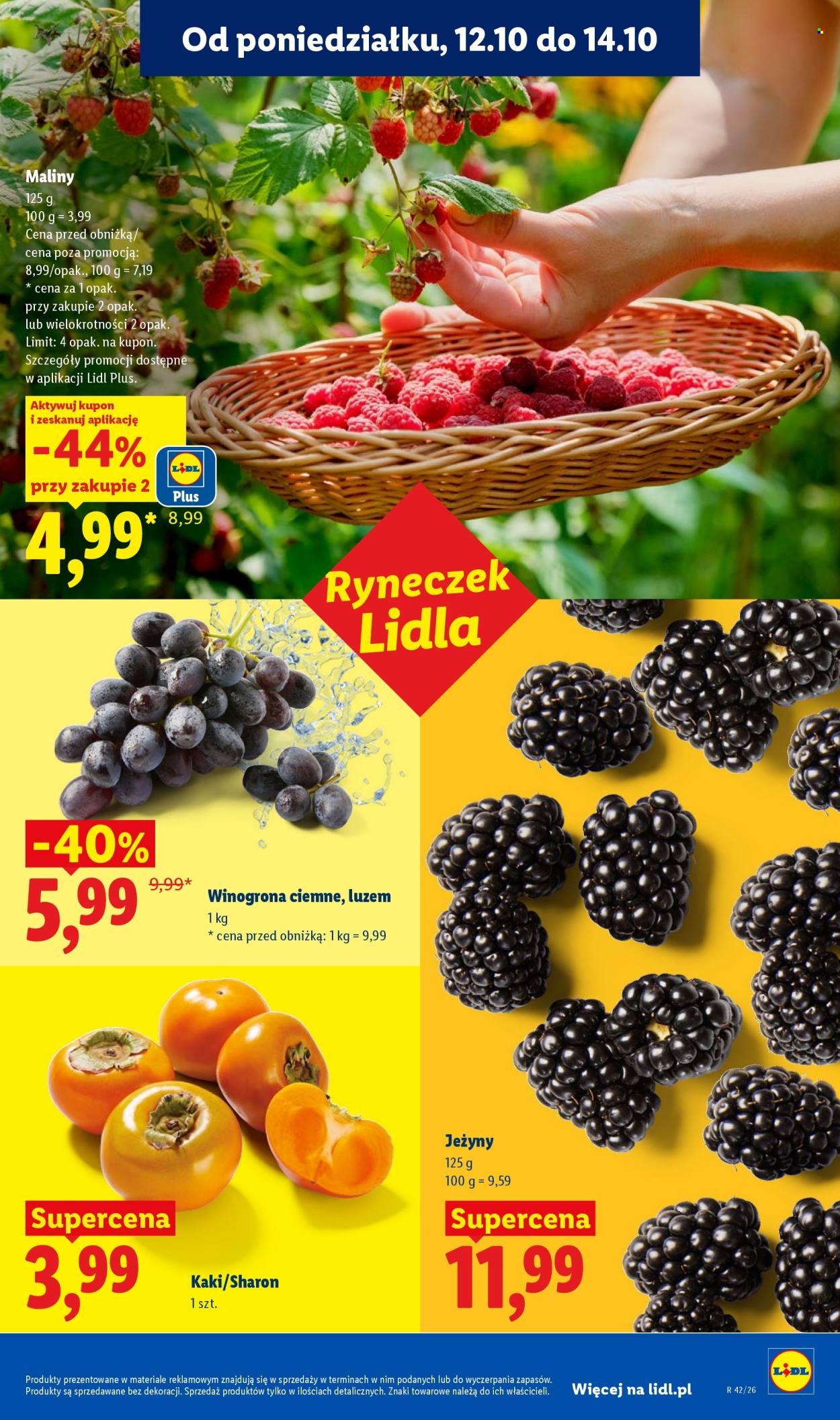 Gazetka Lidl - 12.10.2026. - 17.10.2026.. Strona 51
