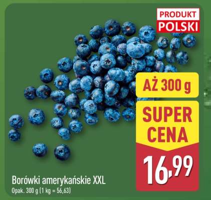Borówki amerykańskie XXL