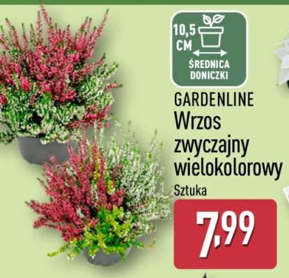 GARDENLINE