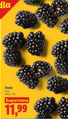 Jeżyny