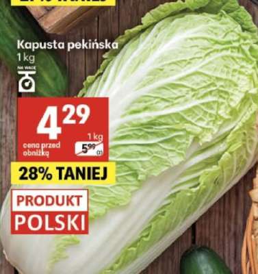 Kapusta pekińska