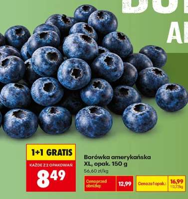 Borówka amerykańska XL, opak. 150 g