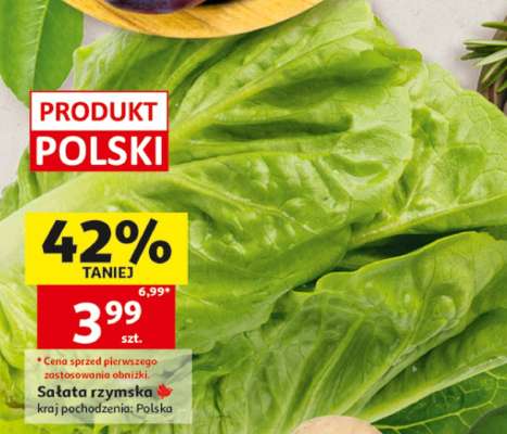 Sałata rzymska