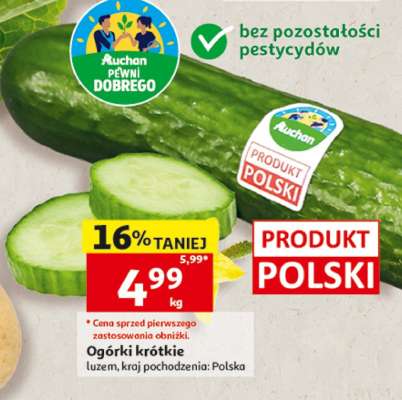 Ogórki krótkie