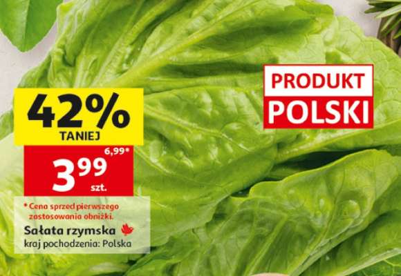 Sałata rzymska