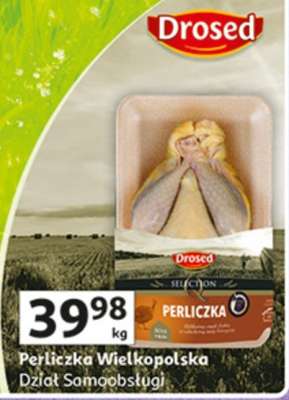 DROSED Perliczka