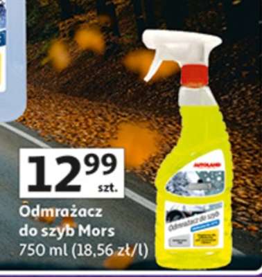 Odmrażacz do szyb MORS