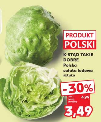 Polska sałata lodowa sztuka