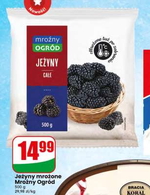 Jeżyny mrożone Mroźny Ogród