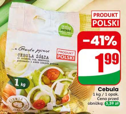 Cebula