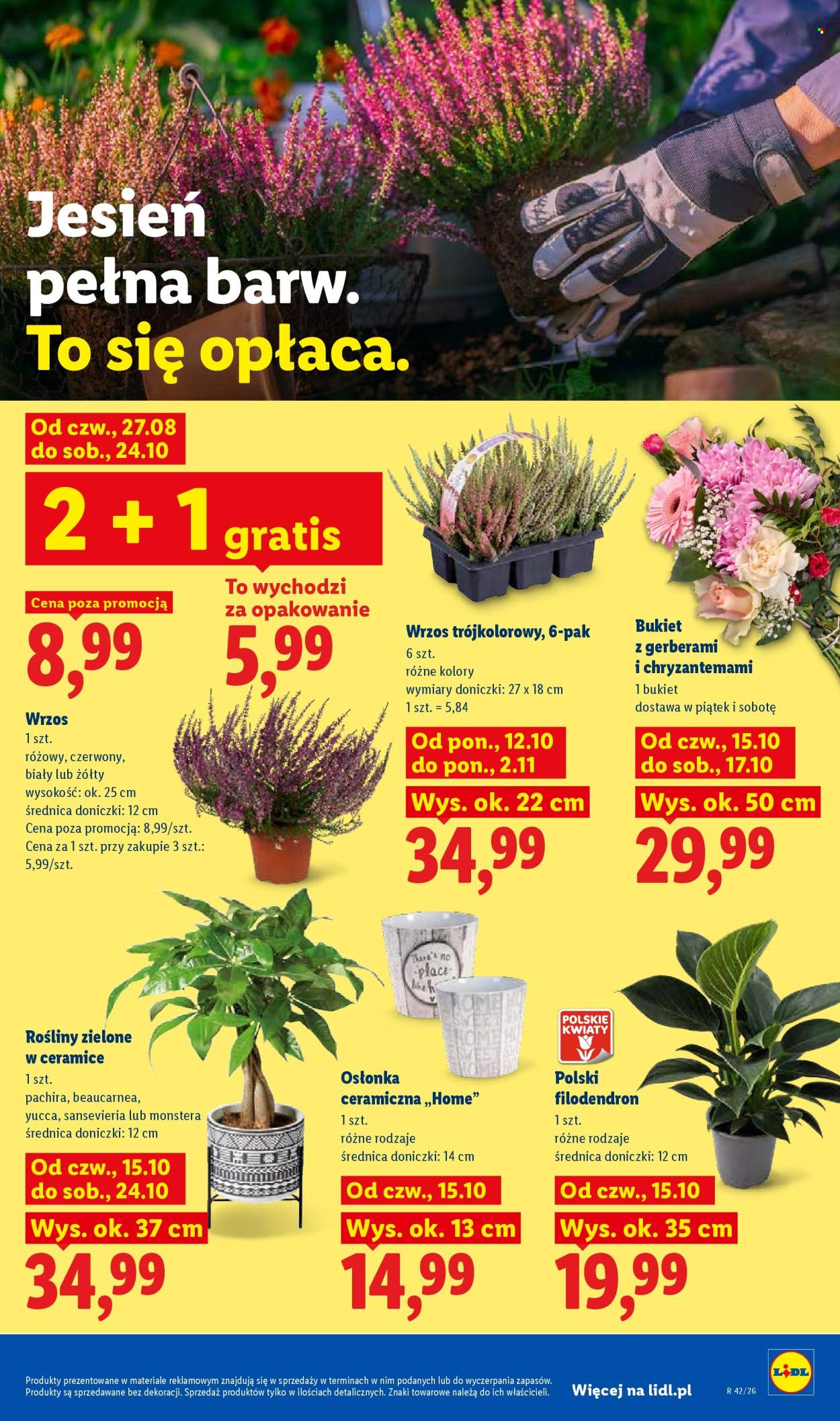 Gazetka Lidl - 15.10.2026. - 17.10.2026.. Strona 107