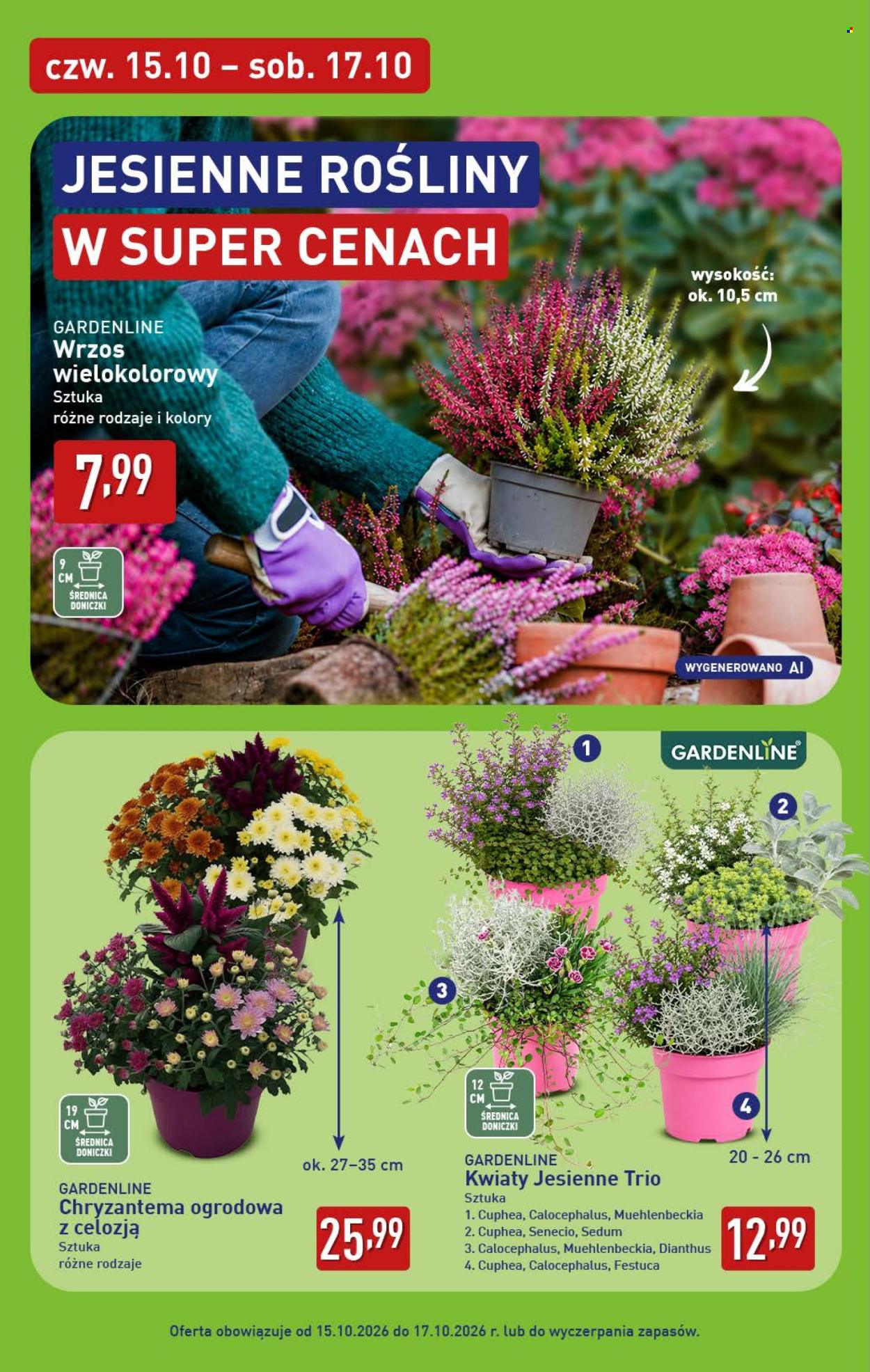 Gazetka ALDI - 15.10.2026. - 17.10.2026.. Strona 6