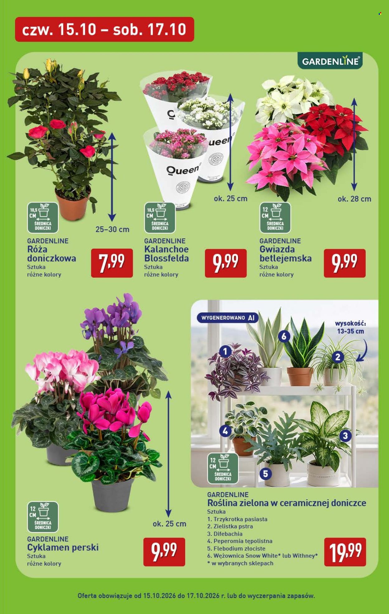 Gazetka ALDI - 15.10.2026. - 17.10.2026.. Strona 7