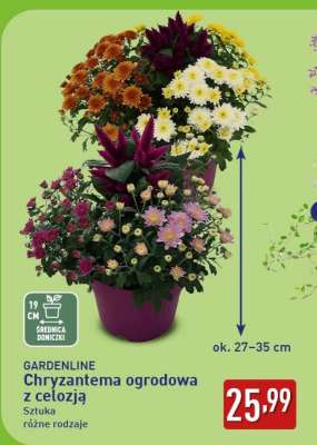 GARDENLINE