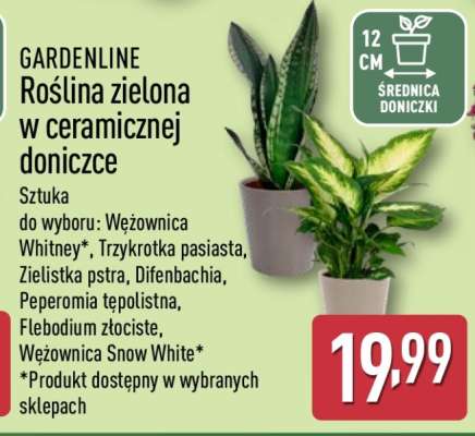 GARDENLINE