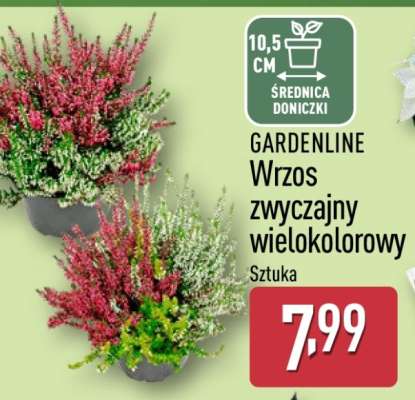 GARDENLINE
