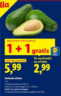 Awokado zielone