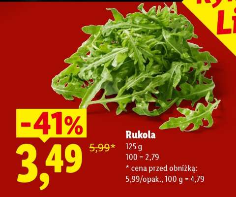 Rukola