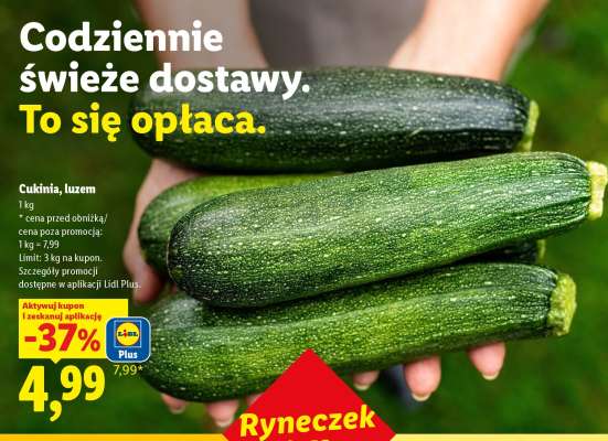 Cukinia luzem