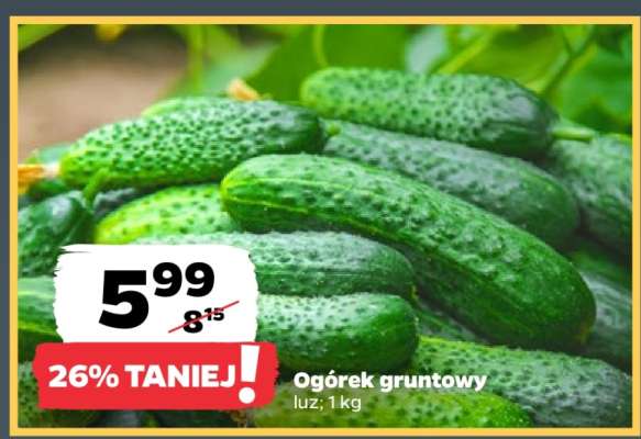 Ogórek gruntowy