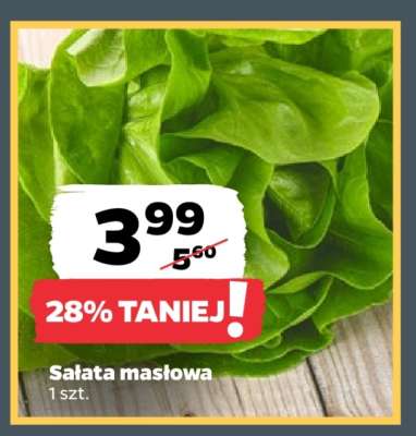 Sałata masłowa