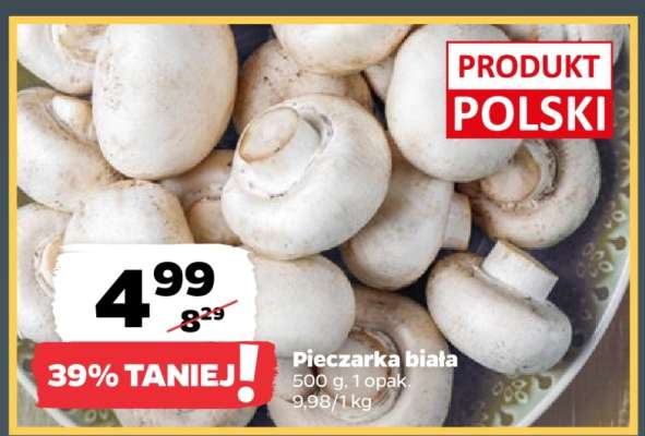 Pieczarka biała