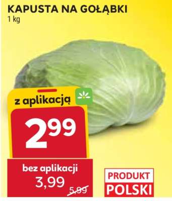 Kapusta na gołąbki