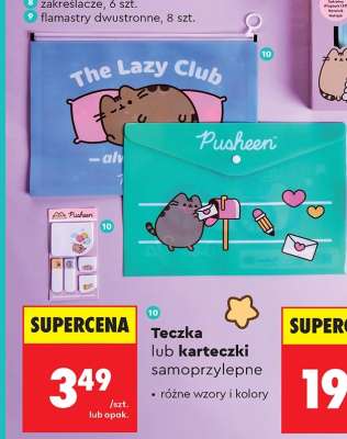 Teczka lub karteczki samoprzylepne