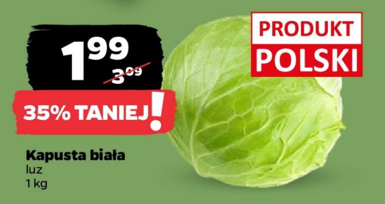 Kapusta biała