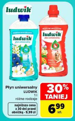 Płyn uniwersalny Ludwik