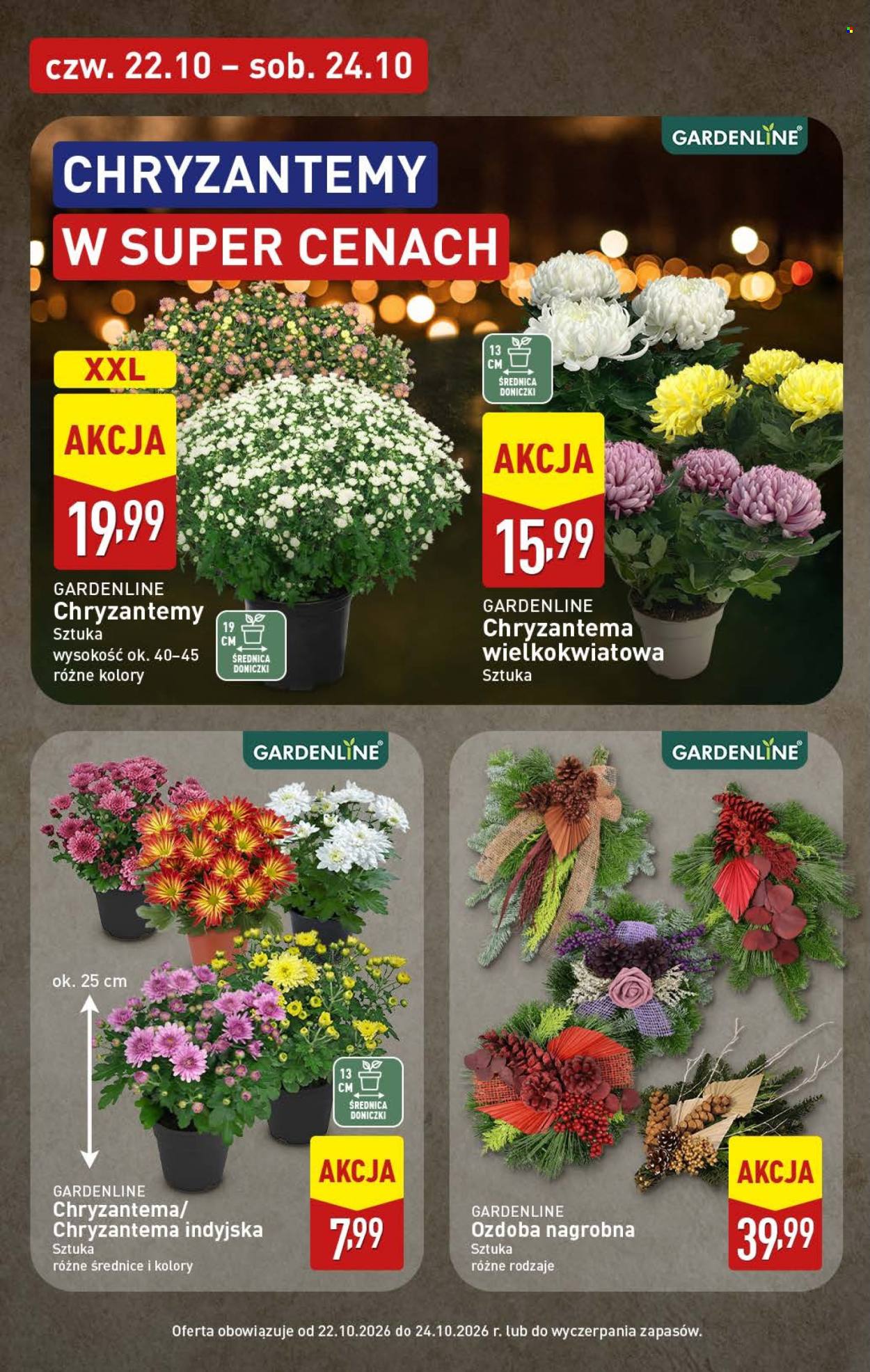Gazetka ALDI - 19.10.2026. - 24.10.2026.. Strona 44