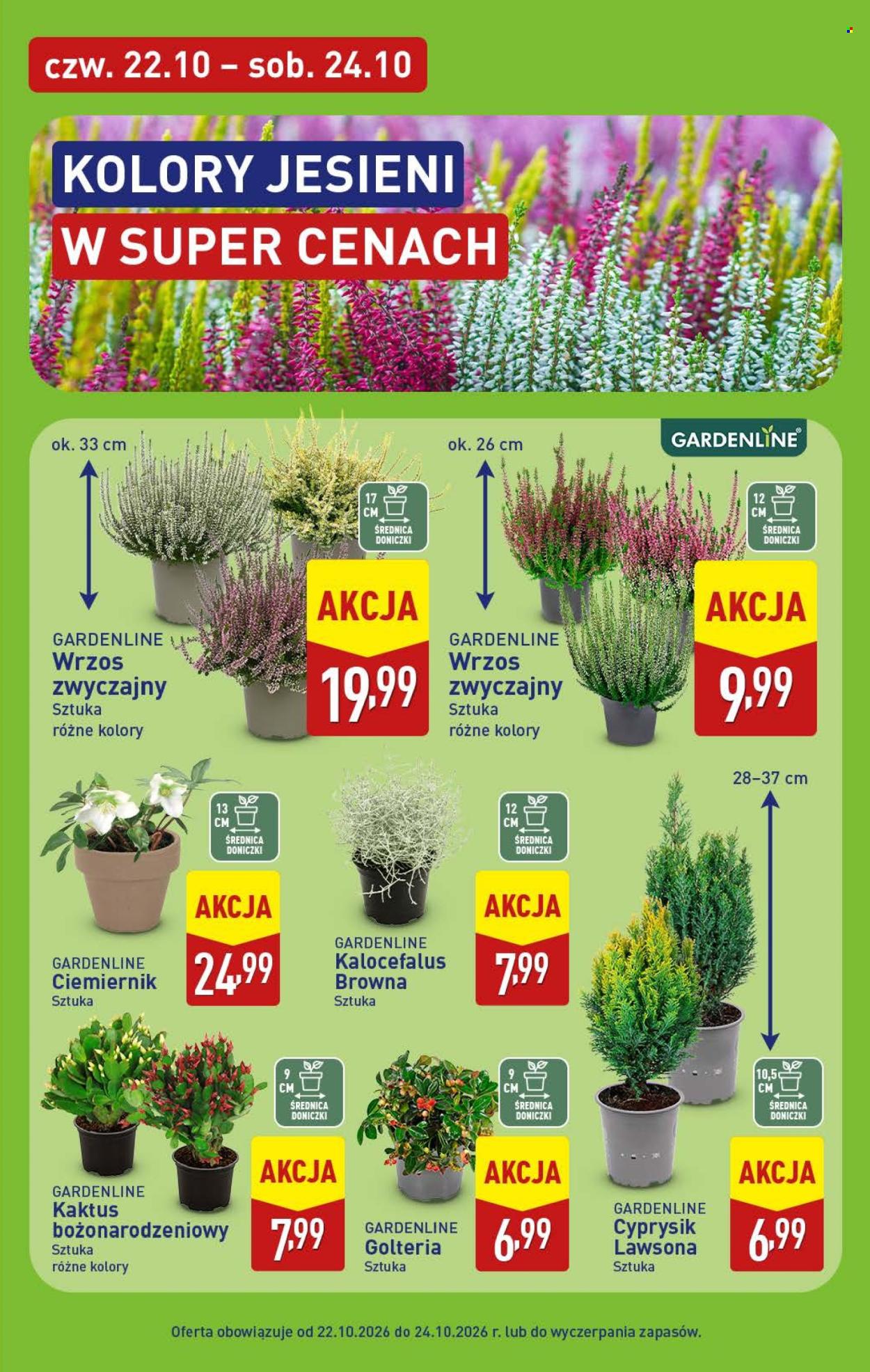 Gazetka ALDI - 19.10.2026. - 24.10.2026.. Strona 45