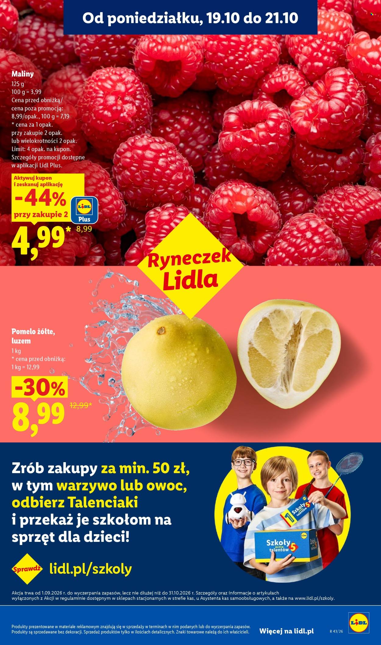 Gazetka Lidl - 19.10.2026. - 24.10.2026.. Strona 41