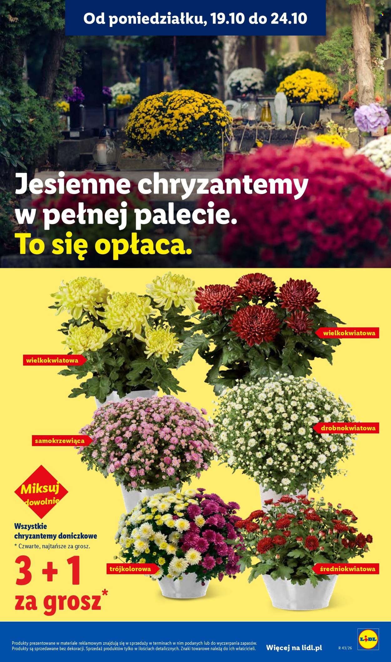 Gazetka Lidl - 19.10.2026. - 24.10.2026.. Strona 97