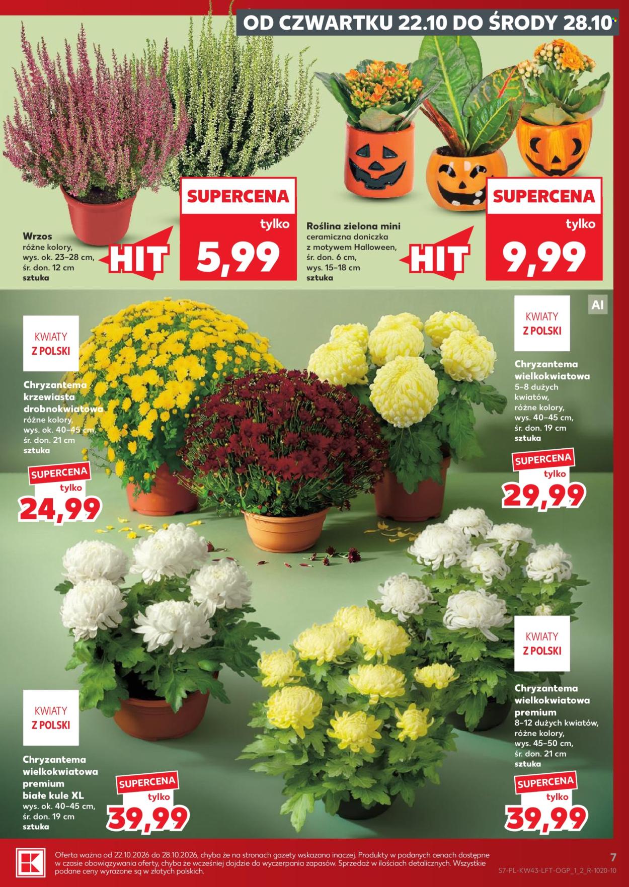 Gazetka Kaufland - 22.10.2026. - 28.10.2026.. Strona 7