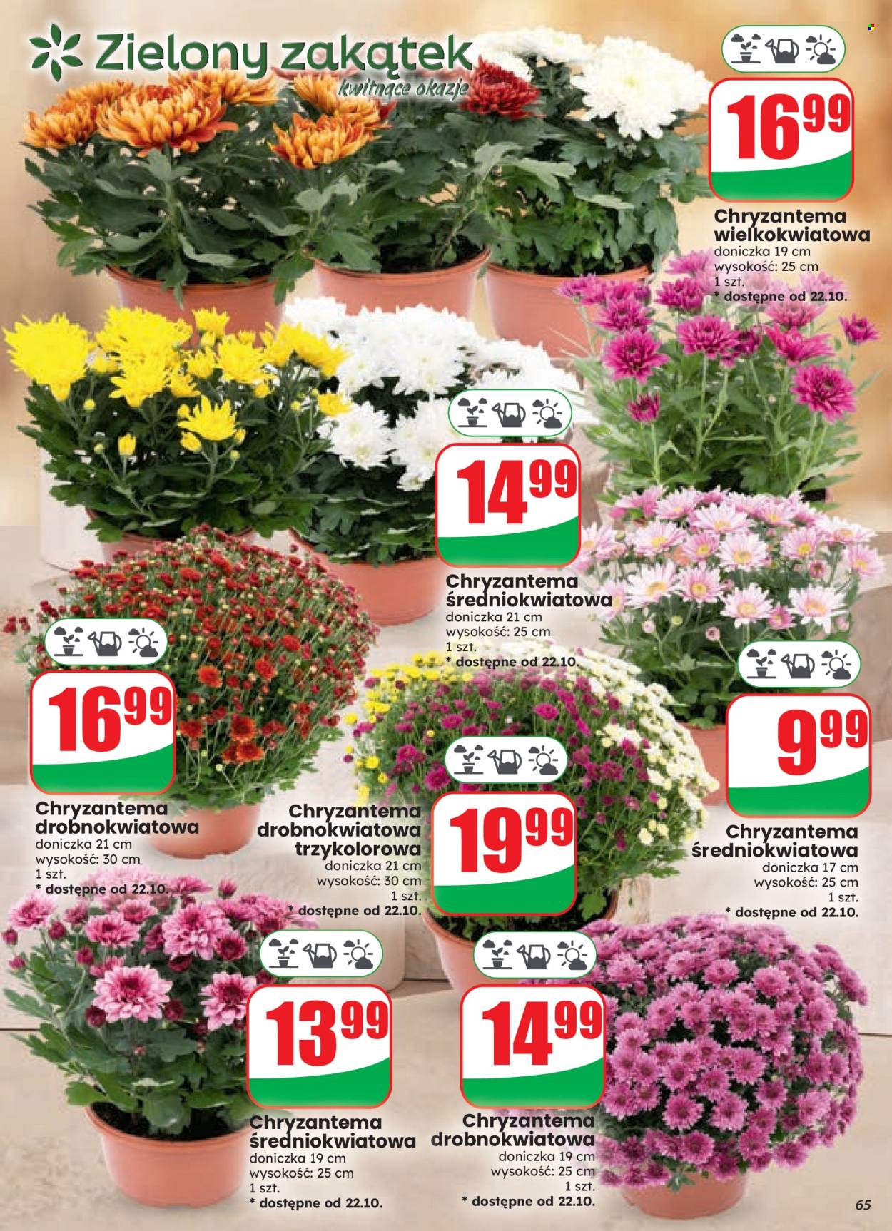 Gazetka Dino - 21.10.2026. - 27.10.2026.. Strona 65