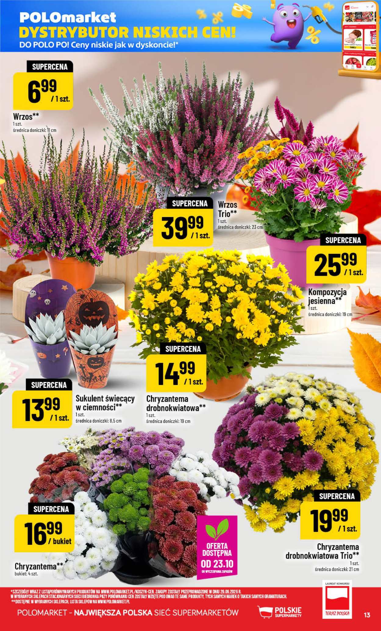 Gazetka Polomarket - 21.10.2026. - 27.10.2026.. Strona 13