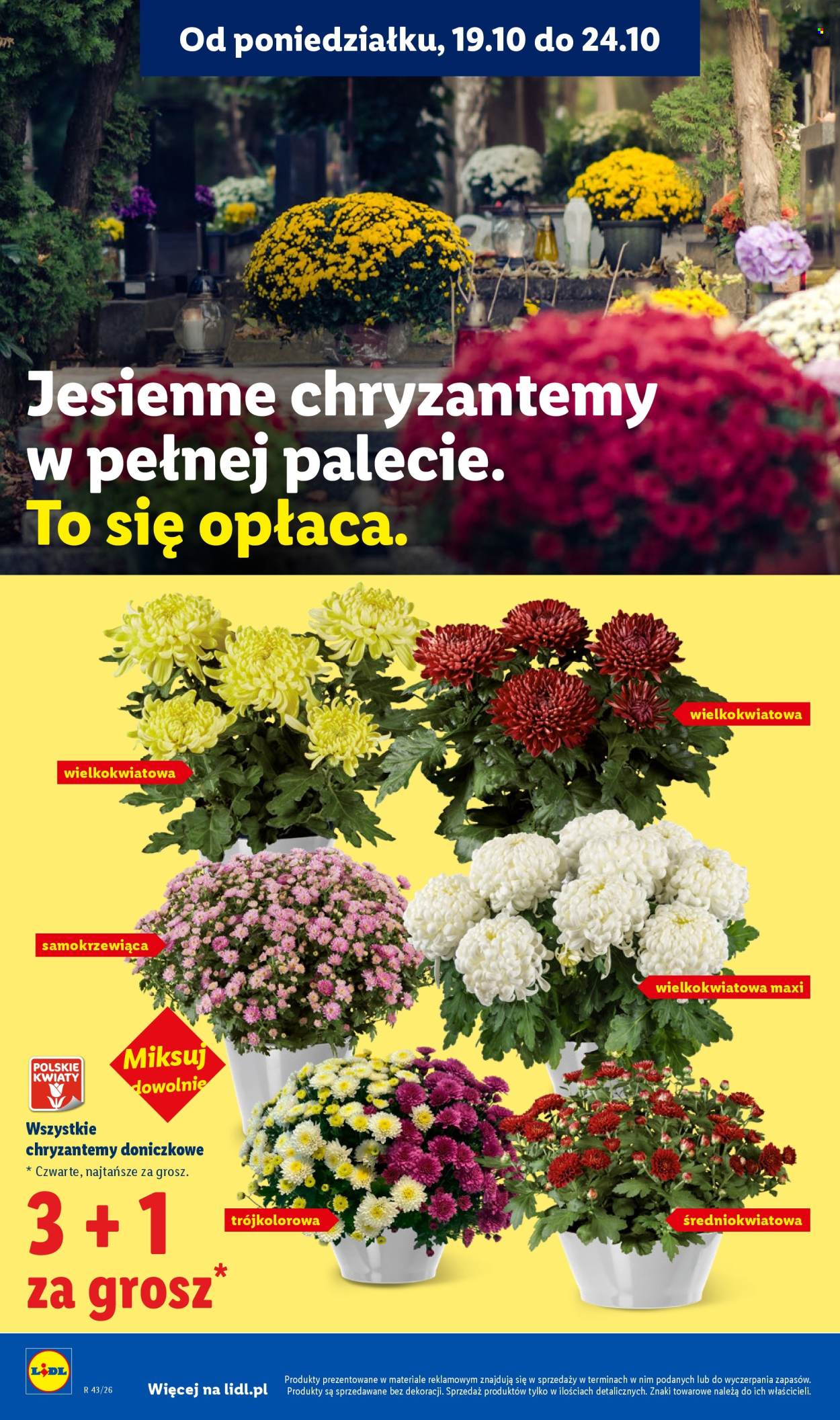 Gazetka Lidl - 22.10.2026. - 24.10.2026.. Strona 102