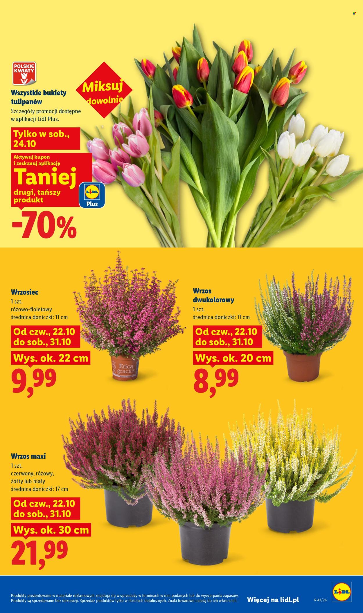 Gazetka Lidl - 22.10.2026. - 24.10.2026.. Strona 103