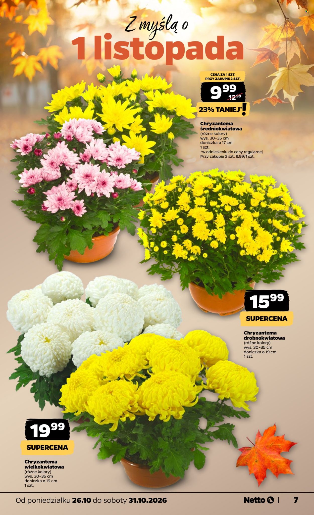 Gazetka Netto - 26.10.2026. - 31.10.2026.. Strona 7